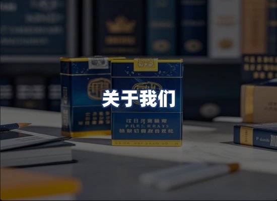 关于我们